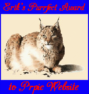 Erik's Purrfect Award
