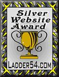 Silver Website Award